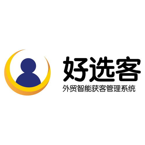 好选客 上海网络技术咨询的领航者
